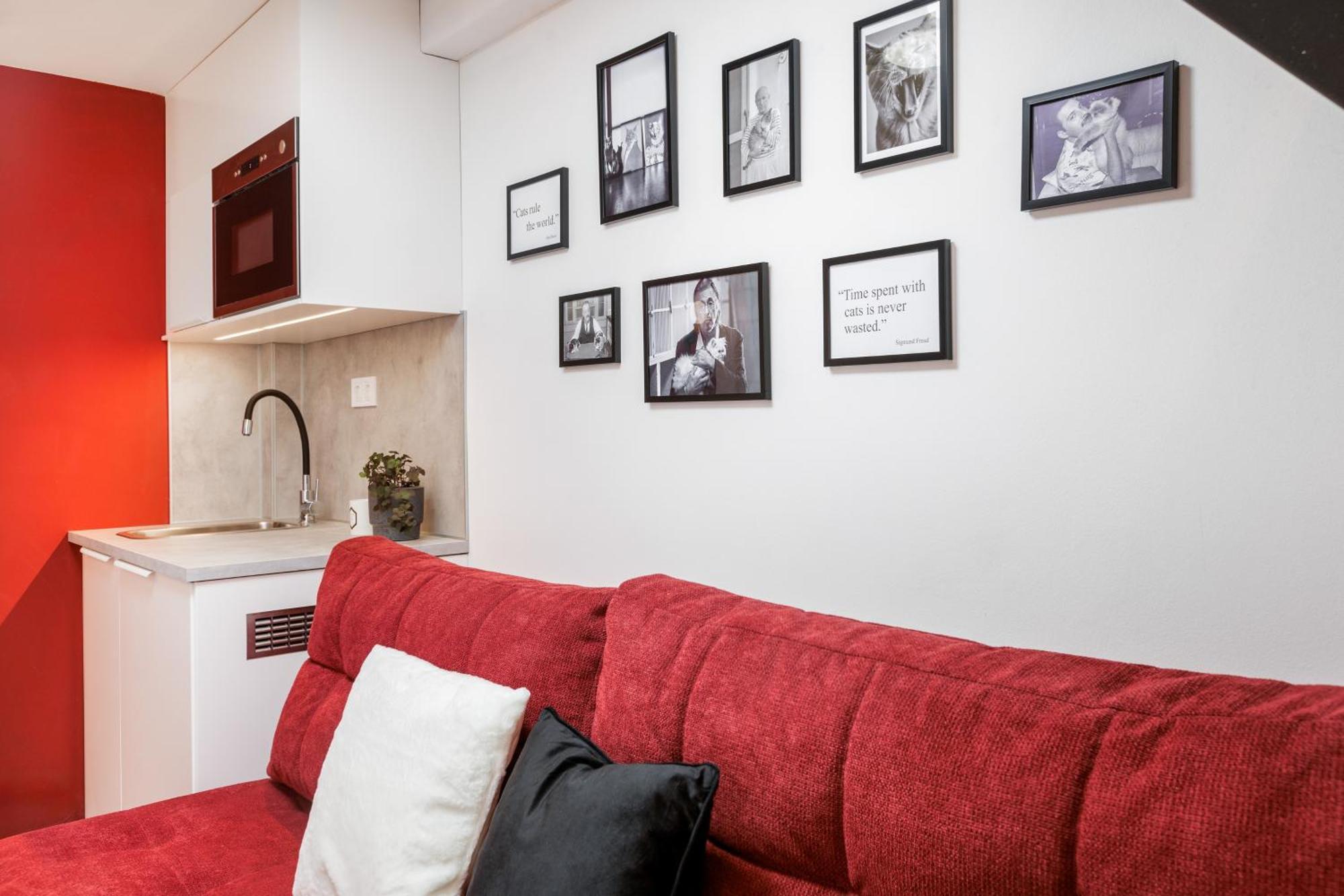 شقة The Urban Chill Spot Harsfa Street بودابست المظهر الخارجي الصورة